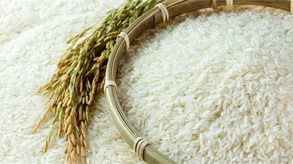 قیمت برنج رِی کرد