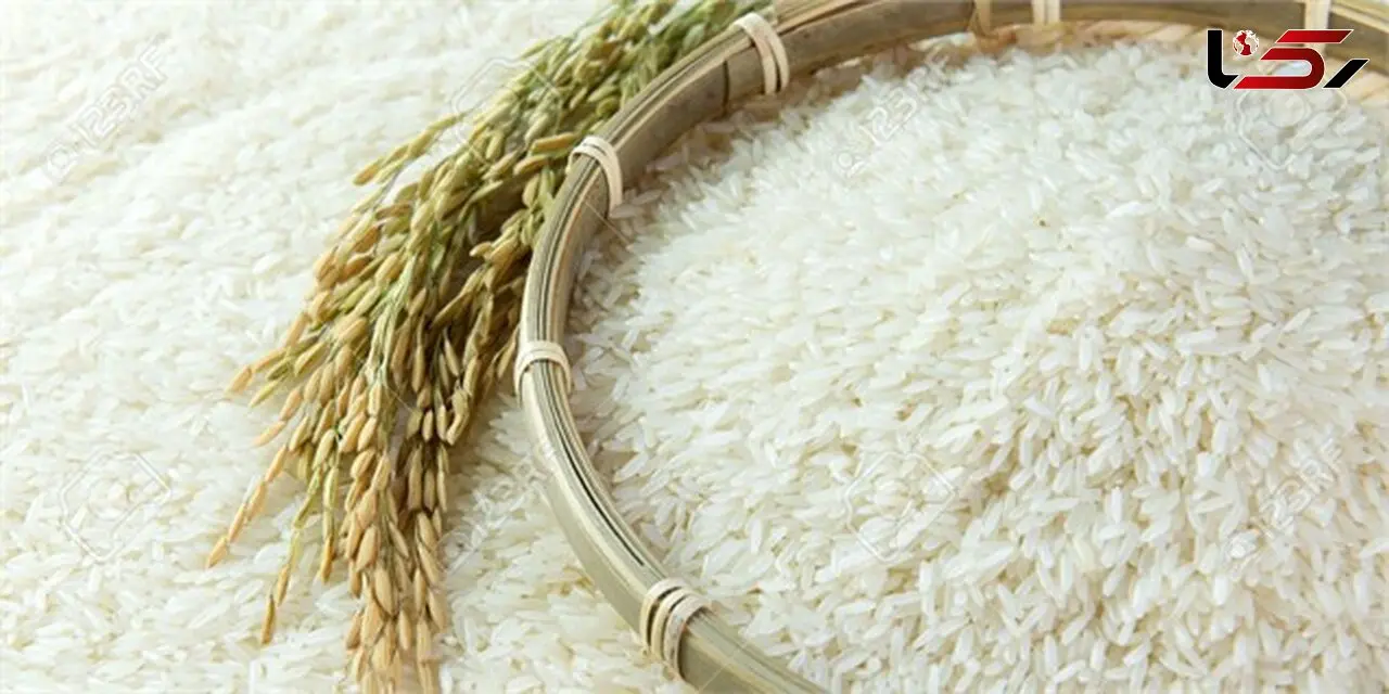 قیمت برنج رِی کرد