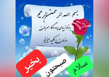 فال و طالع روزانه 24 اردیبهشت + فیلم 