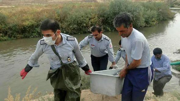 عکس عجیب جسدی شناور در رودخانه خرم آباد+تصاویر