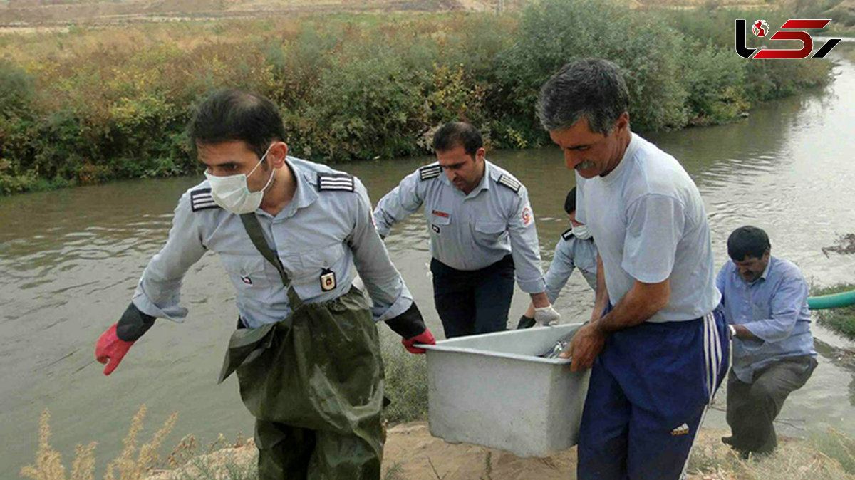 عکس عجیب جسدی شناور در رودخانه خرم آباد+تصاویر