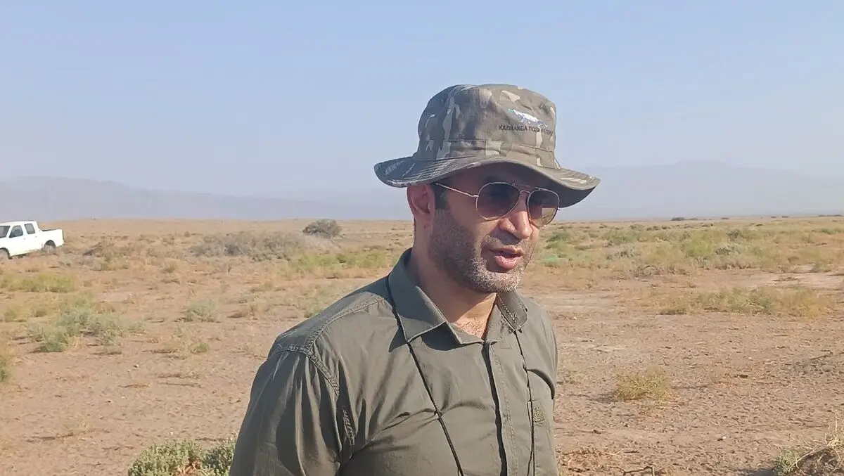 وزارت راه متهم اصلی در قتلگاه یوزها/ انقراض یوزپلنگ آسیایی پشت چراغ قرمز اعتبارات ملی
