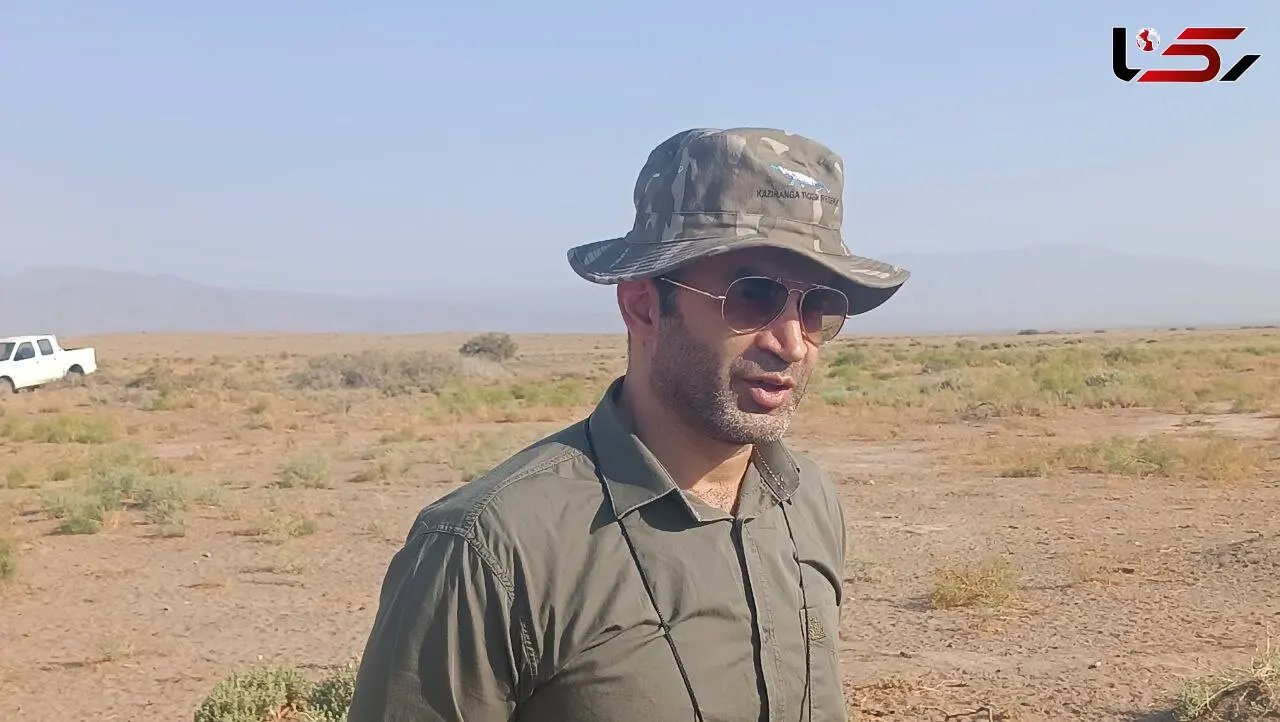 وزارت راه متهم اصلی در قتلگاه یوزها/ انقراض یوزپلنگ آسیایی پشت چراغ قرمز اعتبارات ملی + فیلم