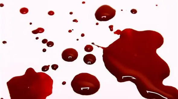 اعتراف فرزانه به قتل زن رمال در جنوب تهران / نسخه دوم طلسم مرگ بود !