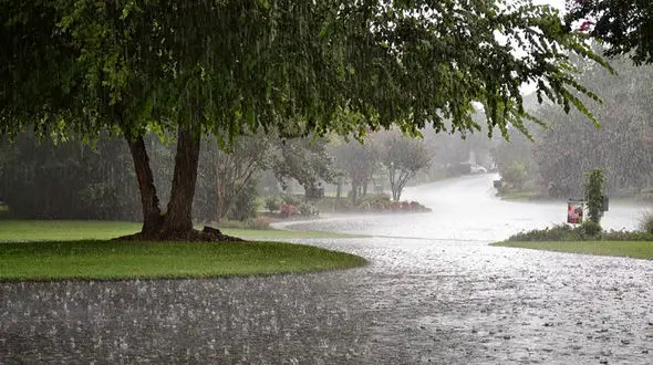 هشدار هواشناسی به بارش باران در برخی استان‌ها از امروز 