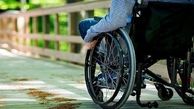 وجود ۴۷ هزار نفر دچار معلولیت در استان همدان