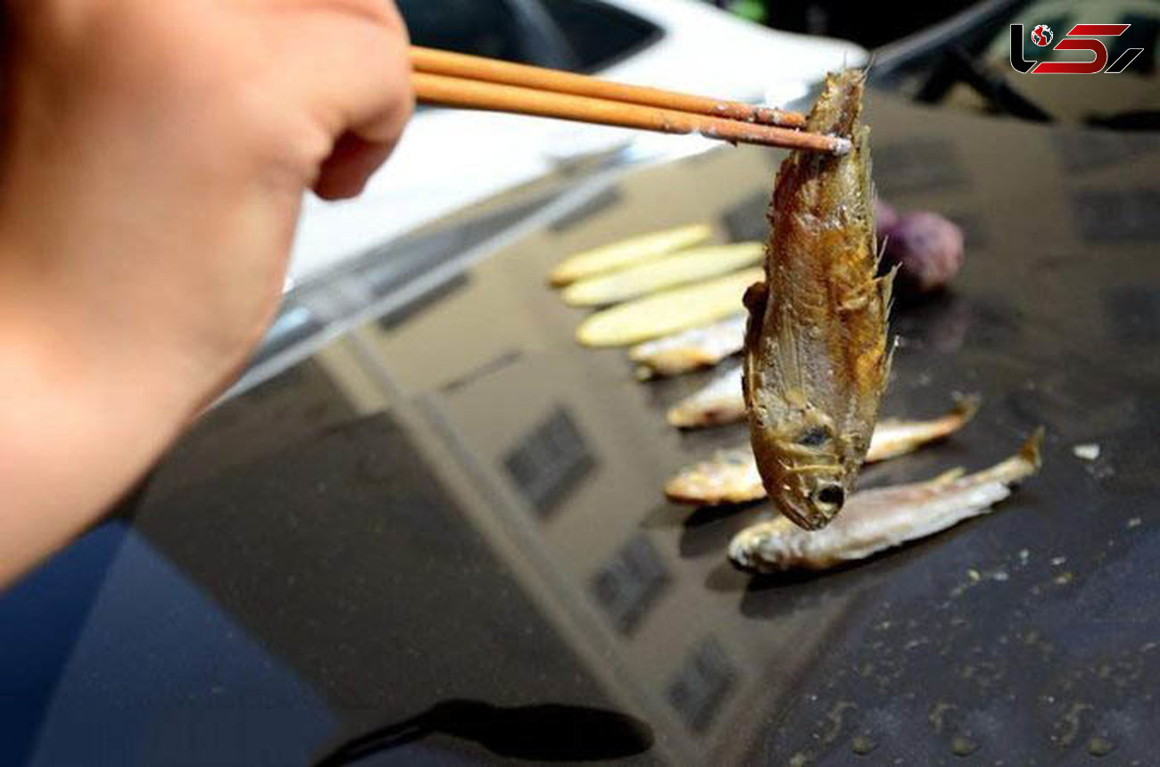 پختن ماهی روی کاپوت ماشین+عکس