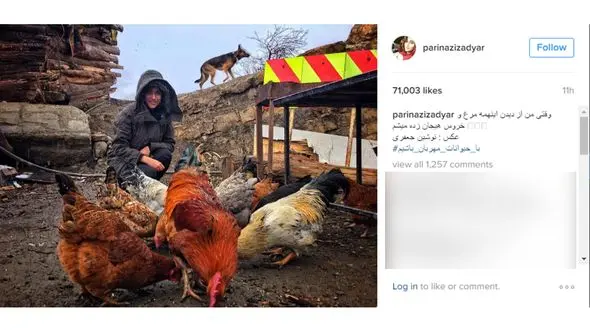 مرغ و خروس های خانم بازیگر+عکس