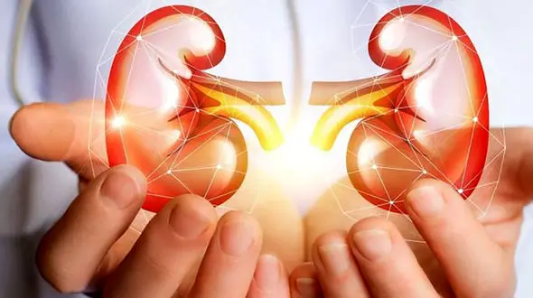 پاکسازی و سم زدایی کلیه ها با این تکنیک های ساده