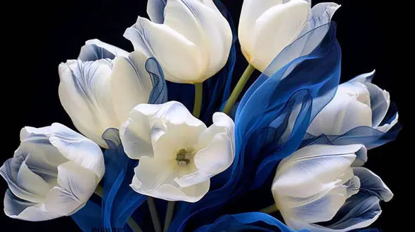 فال ابجد امروز 6 فروردین 1403 + فیلم