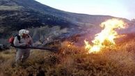 فاجعه آتش سوزی در تنگه هایقر فارس / 4 روستایی کشته شدند + عکس تلخ از مرگ حیوانات وحشی