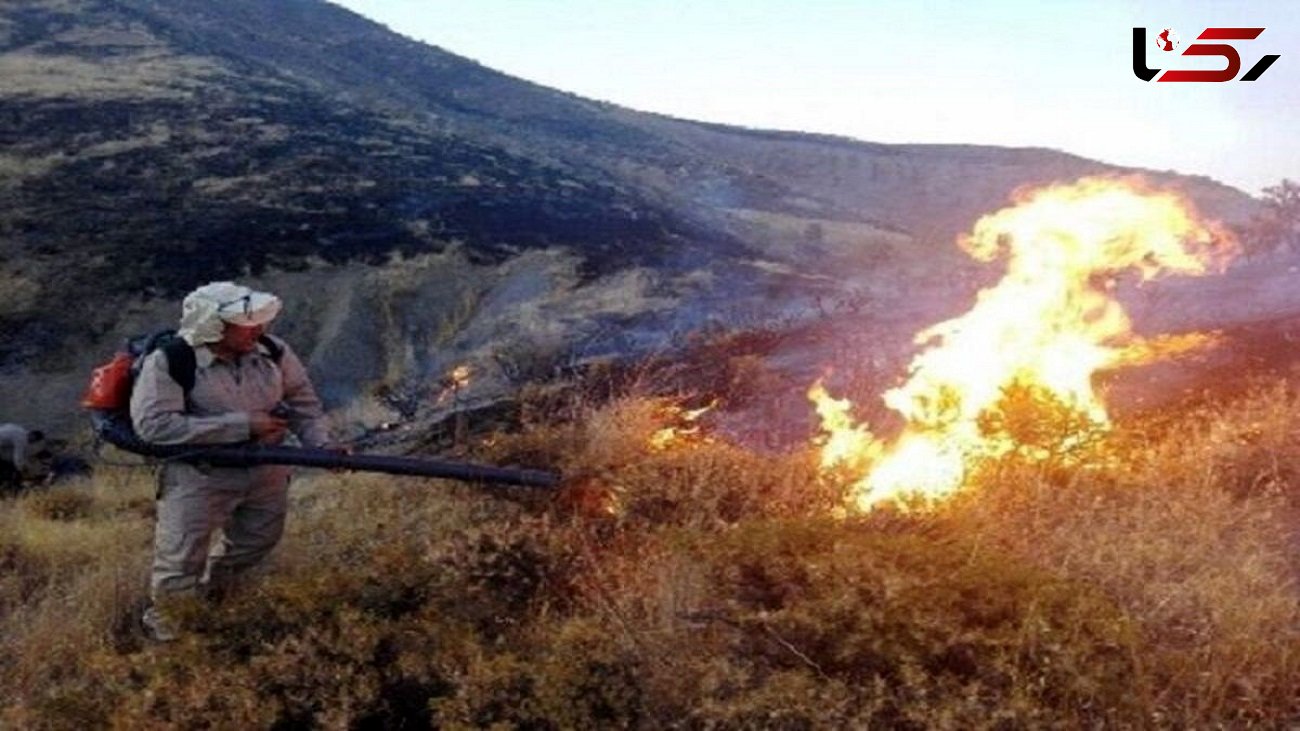 آتش در "تنگه هایقر" دوباره شعله ور شد / ارتش به کمک مدافعان محیط زیست رفت + فیلم و عکس