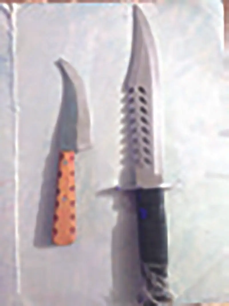 زورگیری قطار