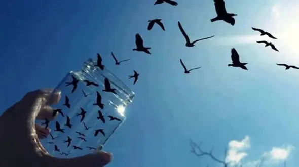 اقدام زیبای دانشجویان علوم پزشکی برای نجات یک زن جهرمی