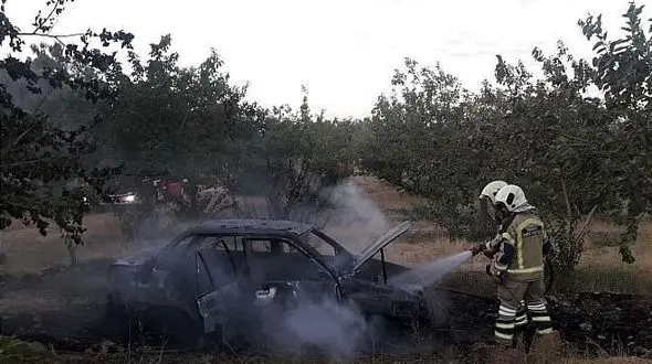 خاکستر شدن خودروهای پراید و پژو در تهران+ تصاویر