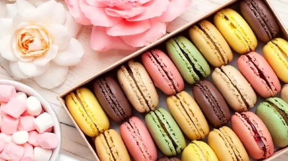 استفاده از طوطی برای جلب مشتری در شیرینی فروشی + فیلم