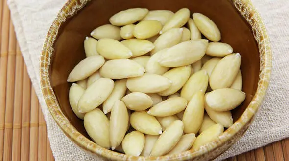  تقویت حافظه با بادام در طب سنتی