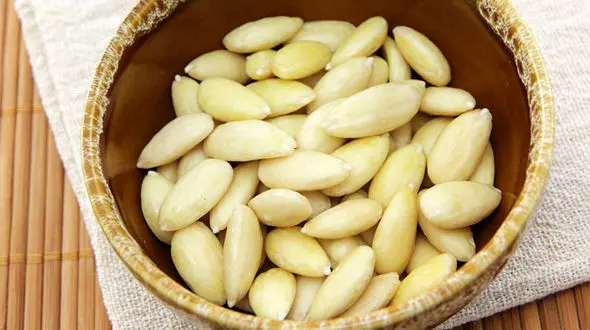  تقویت حافظه با بادام در طب سنتی