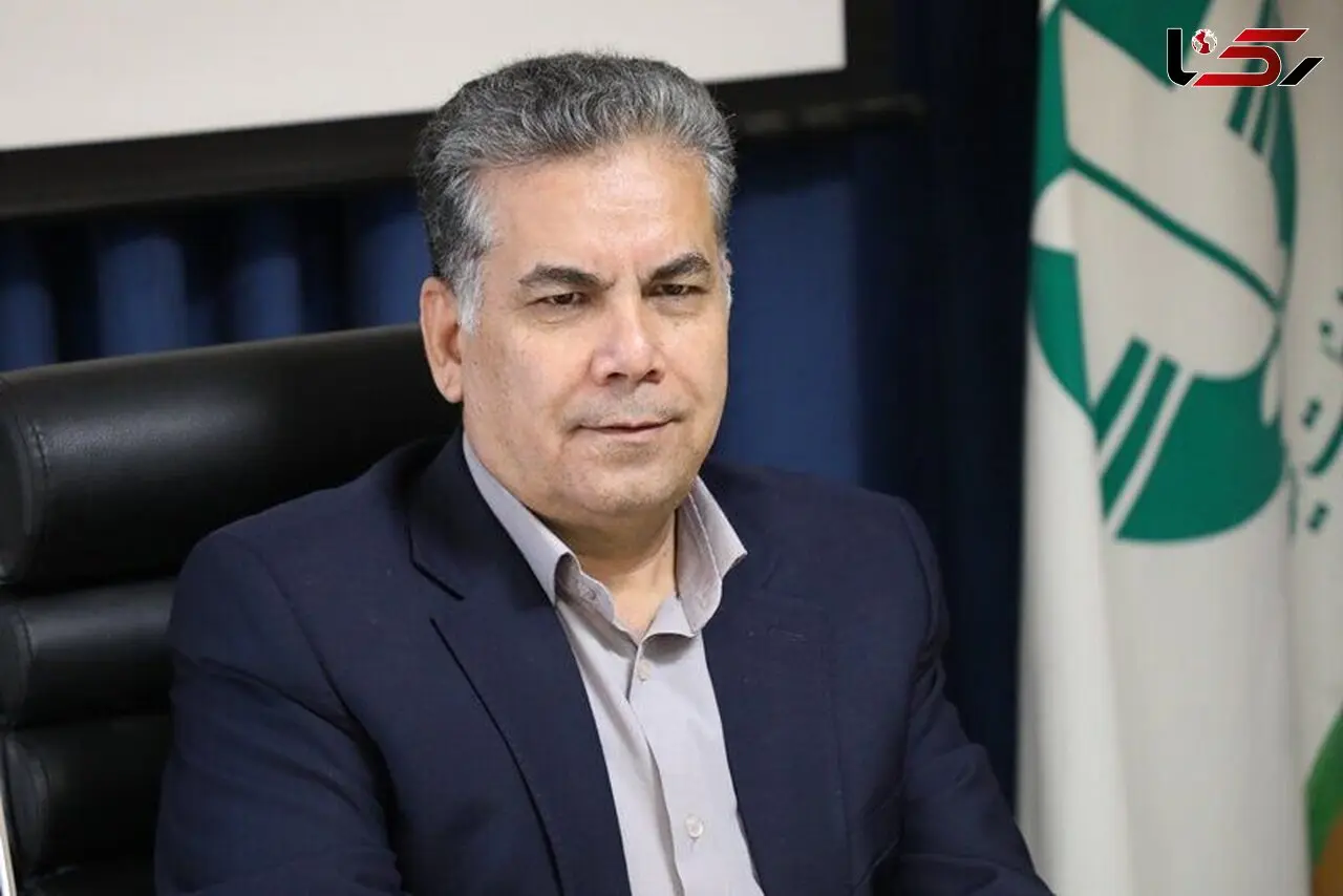 تداوم ممنوعیت بهره‌برداری چوبی از جنگل‌ها در برنامه هفتم توسعه
