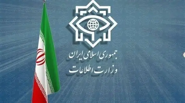 ۴ شبکه سازمان‌یافته در سیرجان متلاشی شد؛ ۳۱ نفر بازداشت شدند