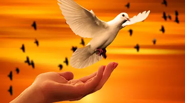 آزادی 19 زن زندانی در همدان / زندان جای مادران نیست