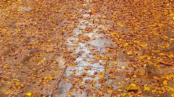 فال حافظ امروز 3 آذر + فیلم