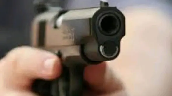 سرقت مسلحانه احشام با کلت کمری در خاش 