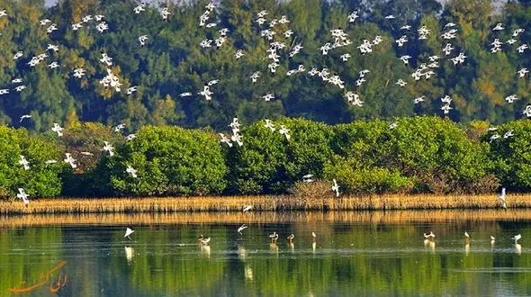  برگزاری مراسم روز جهانی تالاب‌ ها در تالاب بختگان