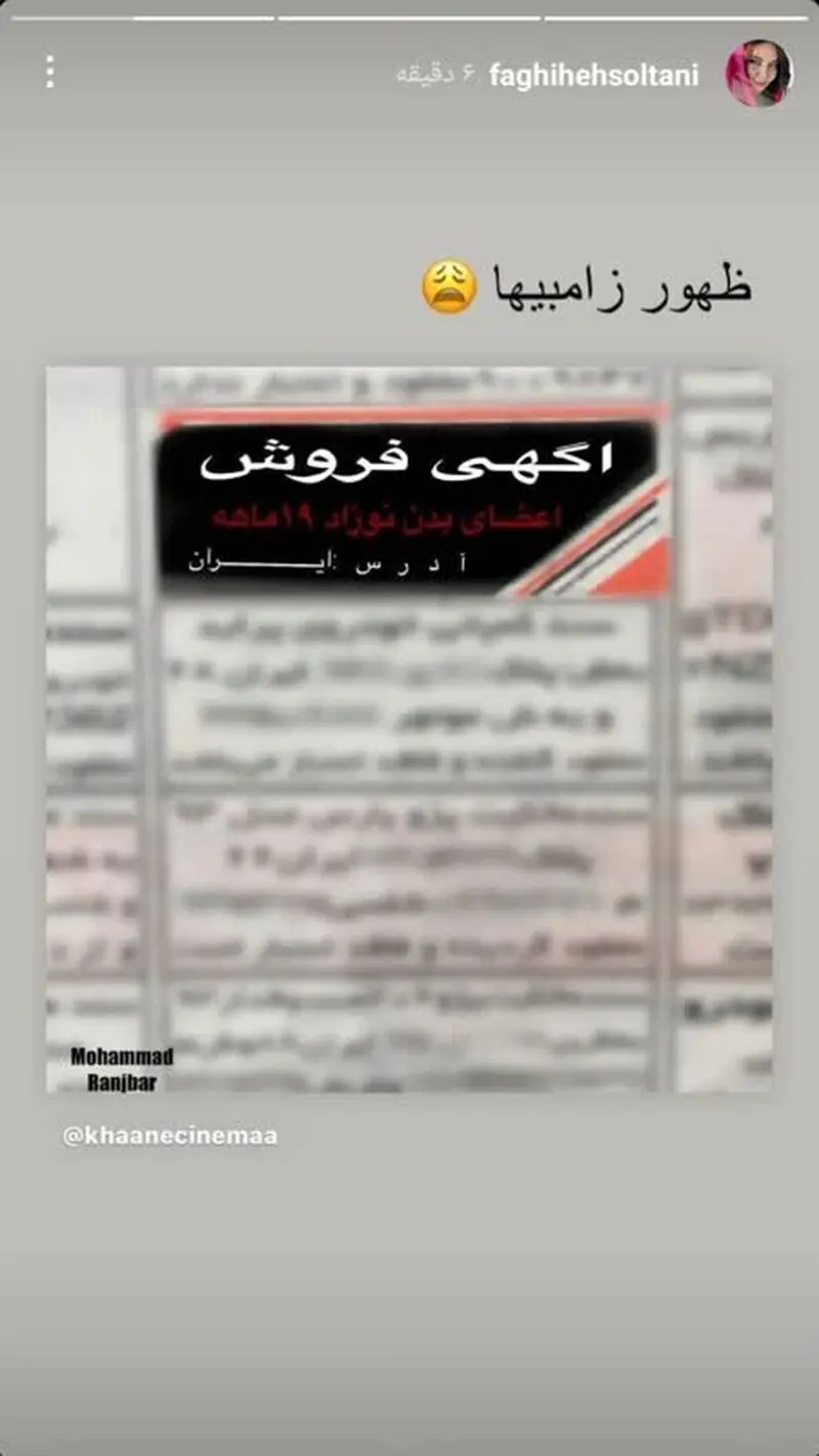 فقیهه سلطانی