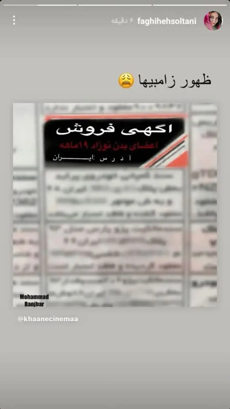 فقیهه سلطانی