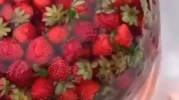 اندازه این ژله شما را غافلگیر می کند / فیلم