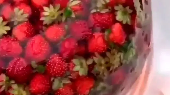 اندازه این ژله شما را غافلگیر می کند / فیلم