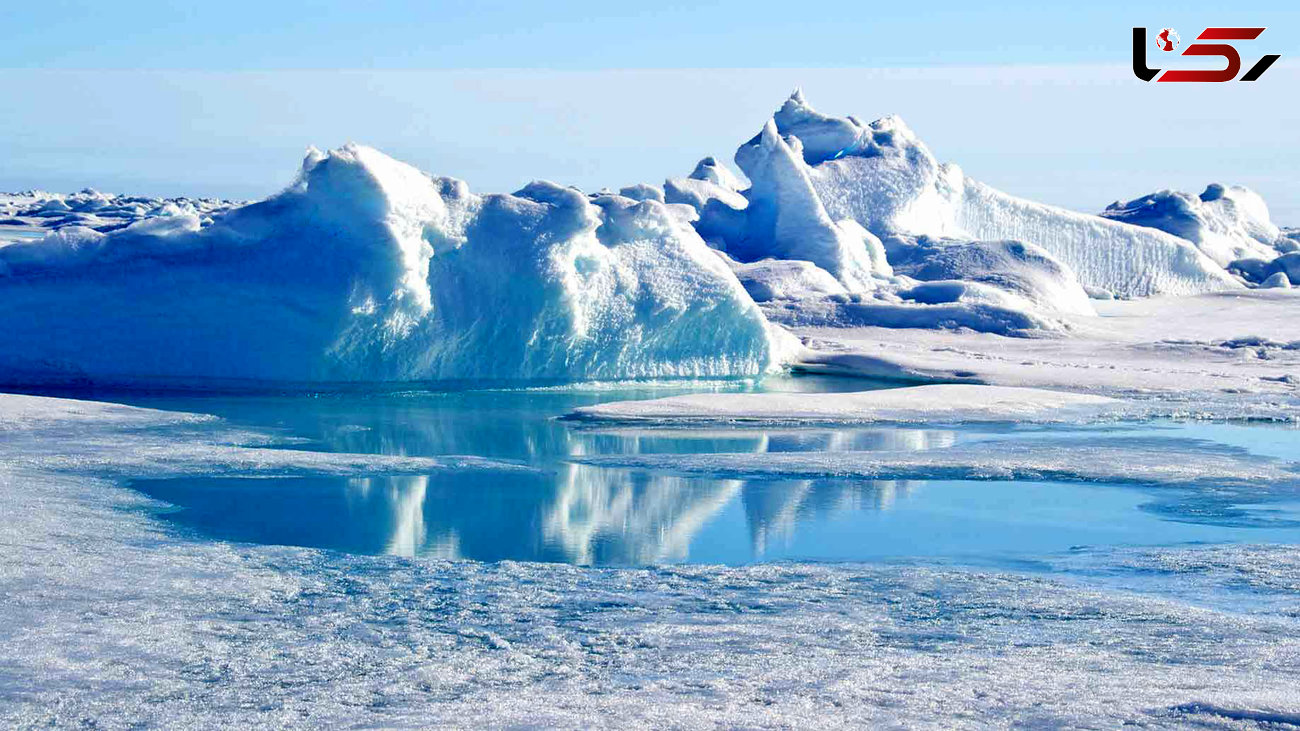 در چند دهه آینده قطب شمال خالی از یخ می شود