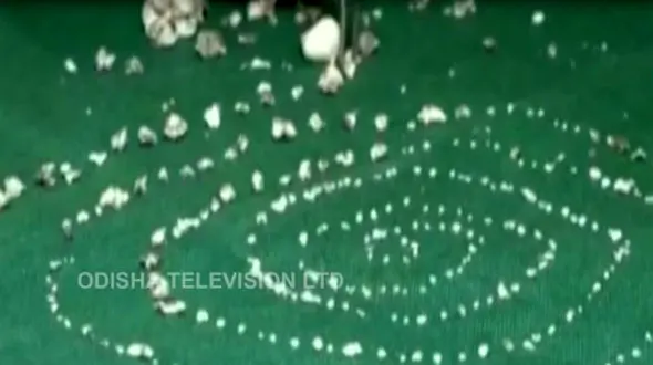 باورنکردنی / کودکی با 526 دندان+ عکس