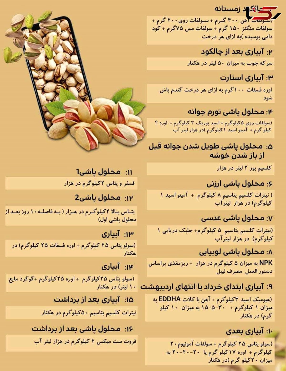 برنامه کود دهی برای تغذیه گیاهان