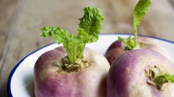 خوردن شلغم برای این بیماران ضرر دارد