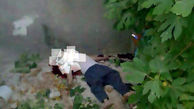 مرگ 4 همدانی به دلیل سقوط از درخت گردو 