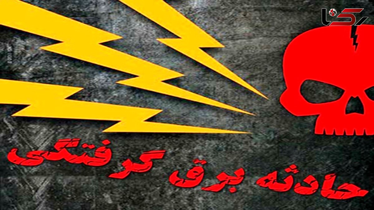 برق کشاورز جوان را در شالیزار خشک کرد / در ساری رخ داد