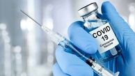 آخرین وضعیت تحقیقات روی ۳ نوع واکسن کرونا در کشور