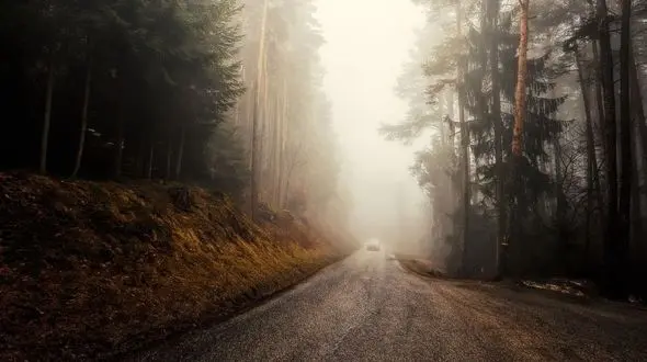 آرامش در آغوش طبیعت / از ابرها تا جنگل مه آلود