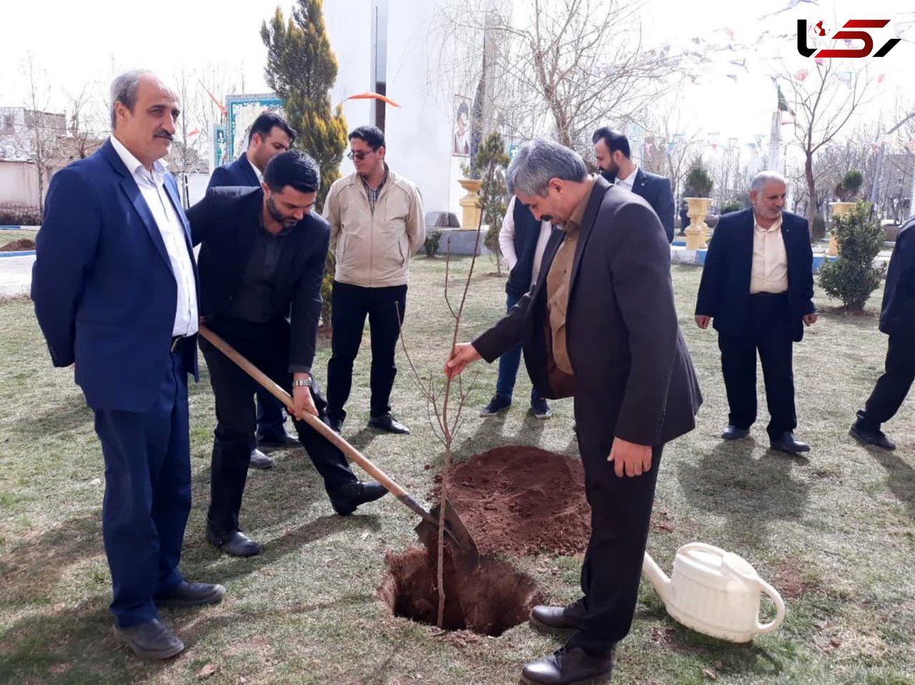 ۳ هزار درخت  در محمود آباد نمونه غرس شد