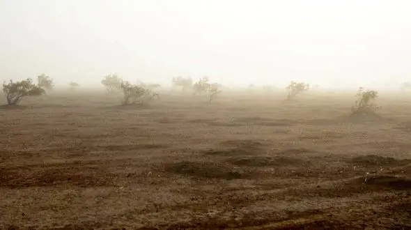 وزش باد شدید با سرعت ۱۰۱ کیلومتر در ساعت زابل را درنوردید/ اورعی: در سیستان و بلوچستان باد بکارید و برق درو کنید + فیلم