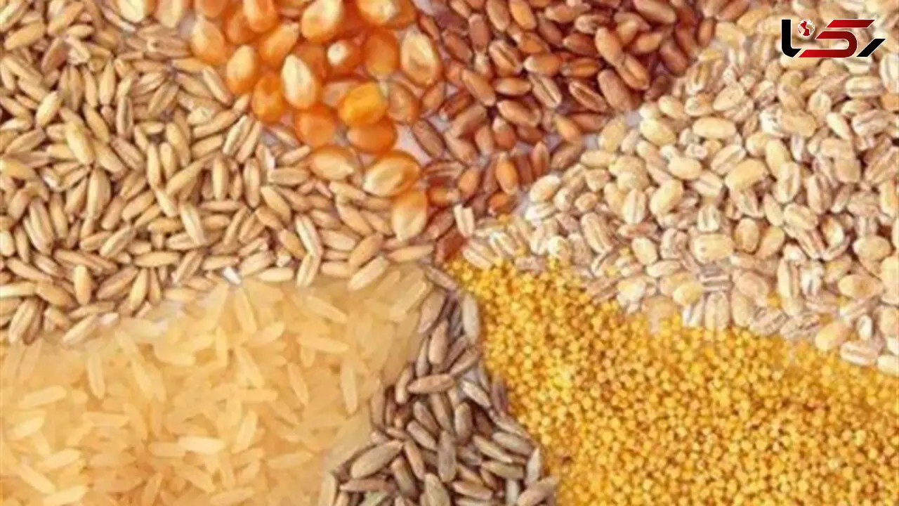 نهاده های فروخته شده گران نمی شود