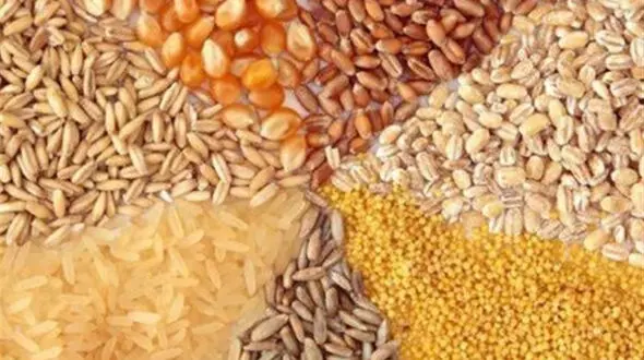 نهاده های فروخته شده گران نمی شود