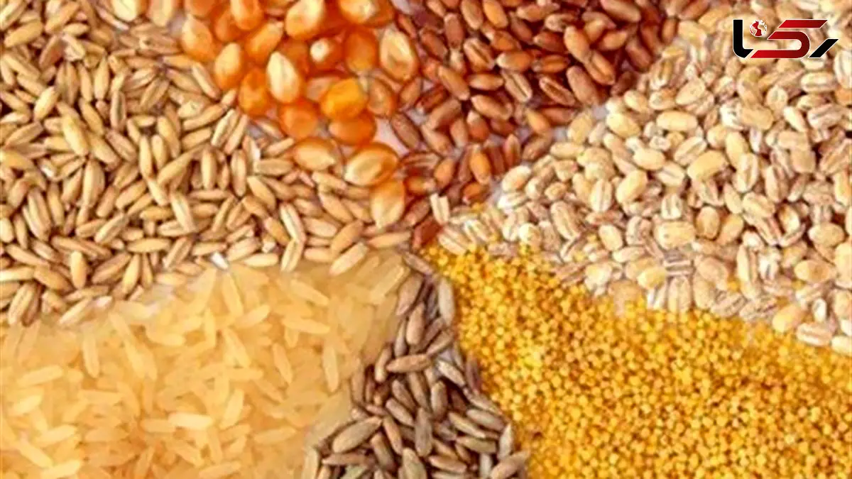 نهاده های فروخته شده گران نمی شود