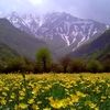 گیسوم تا دریاسر/ آرامش در مسیر بهشت