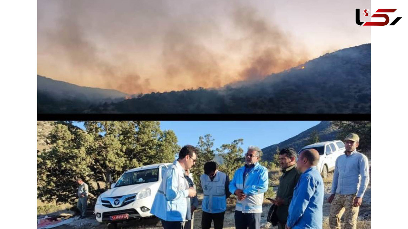 جزییات آتش سوزی در پارک ملی گلستان 
