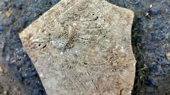  تکرار یک اشتباه در اصفهان / گورستان 1000 ساله را برای عبور کابل برق کندند! 