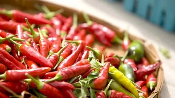 تندی فلفل چقدر در لاغری و کاهش وزن مفید است؟