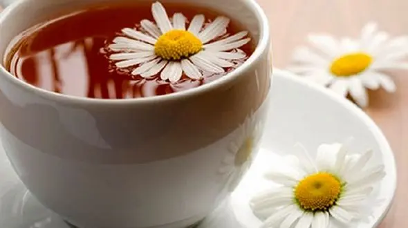 داروهای گیاهی تسکین دهنده درد معده